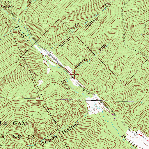 Topographic Map of Beatty Hollow, PA
