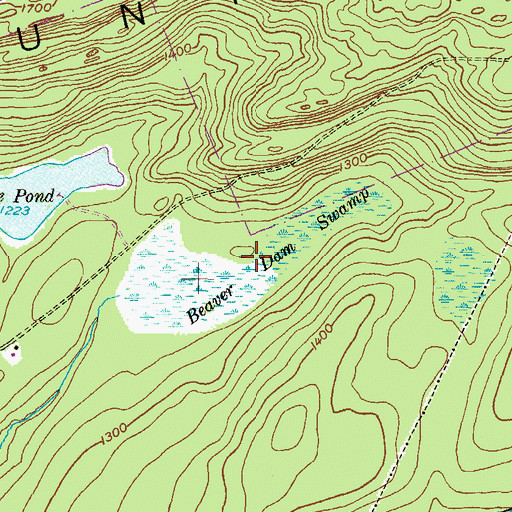 Topographic Map of Beaver Dam Swamp, PA