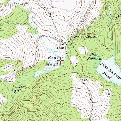 Topographic Map of Beaver Meadow, PA