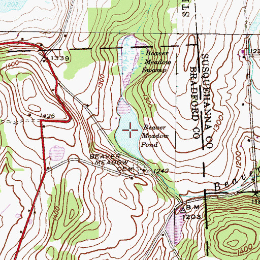 Topographic Map of Beaver Meadow Pond, PA