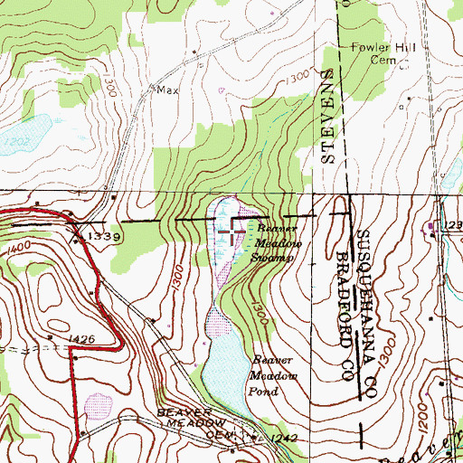 Topographic Map of Beaver Meadow Swamp, PA