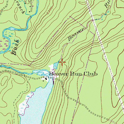Topographic Map of Beaver Run, PA