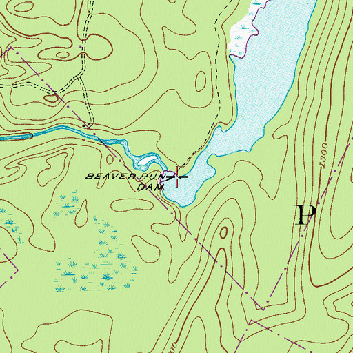 Topographic Map of Beaver Run Dam, PA