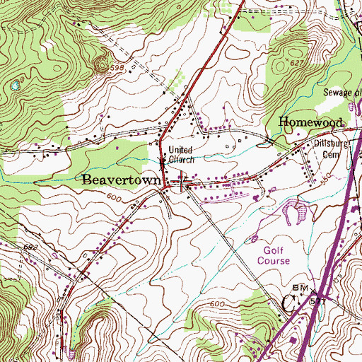 Topographic Map of Beavertown, PA