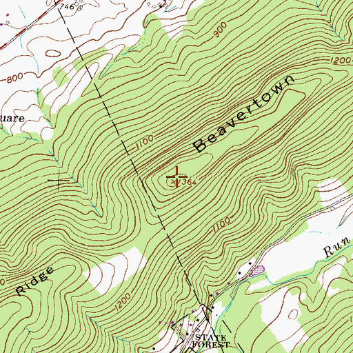 Topographic Map of Beavertown Ridge, PA