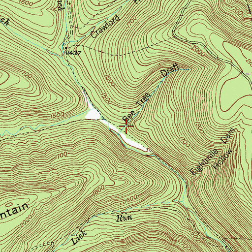 Topographic Map of Bee Tree Draft, PA