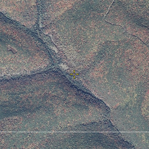Aerial/Satellite Image of Bee Tree Draft, PA