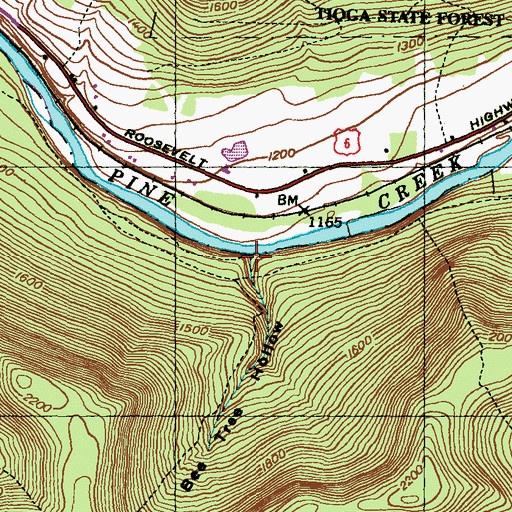 Topographic Map of Bee Tree Hollow, PA
