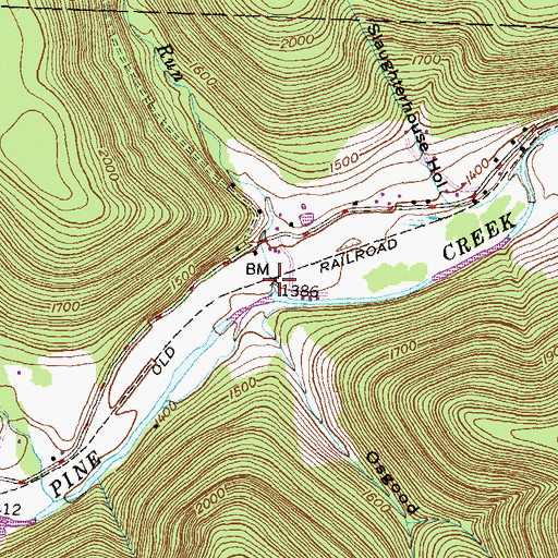 Topographic Map of Beech Flats Run, PA