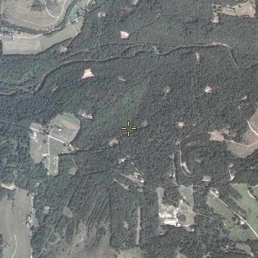 Aerial/Satellite Image of Beech Run, PA