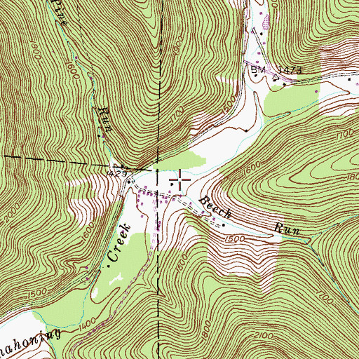 Topographic Map of Beech Run, PA