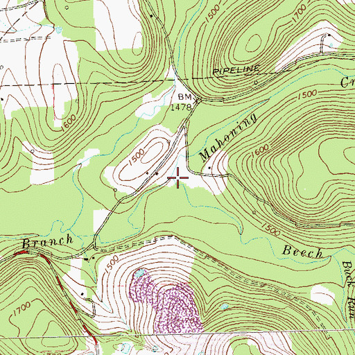 Topographic Map of Beech Run, PA