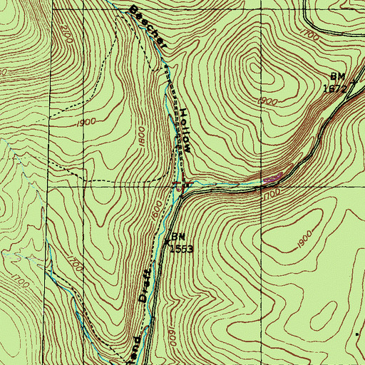Topographic Map of Beecher Hollow, PA