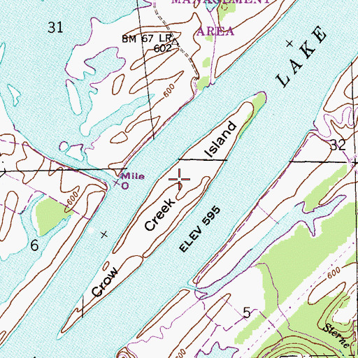 Topographic Map of Crow Creek Island, AL