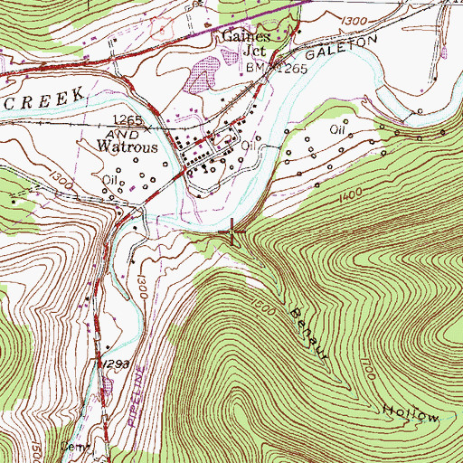 Topographic Map of Benaur Hollow, PA