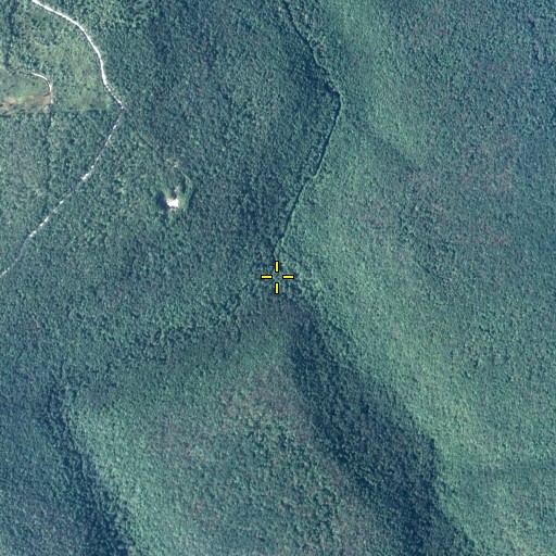 Aerial/Satellite Image of Benner Run, PA