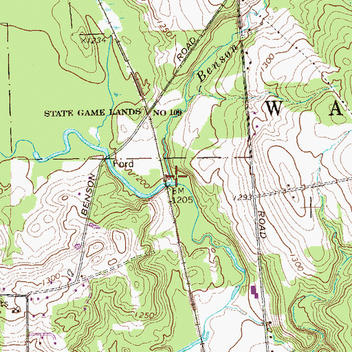 Topographic Map of Benson Run, PA