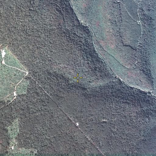 Aerial/Satellite Image of Berry Patch Trail, PA