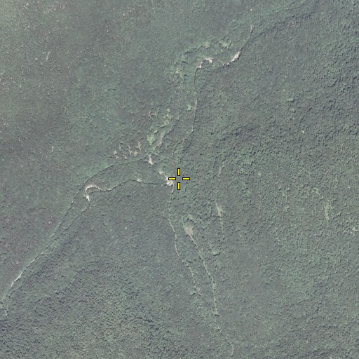 Aerial/Satellite Image of Beth Run, PA