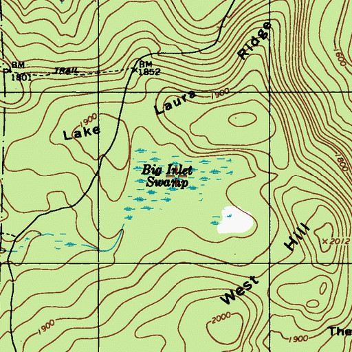 Topographic Map of Big Inlet Swamp, PA