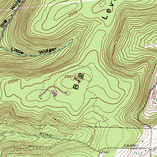 Topographic Map of Big Level, PA