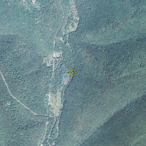 Aerial/Satellite Image of Big Run, PA
