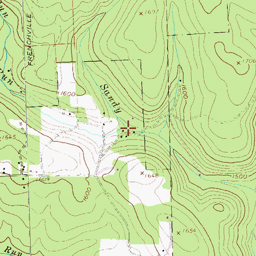 Topographic Map of Big Sandy Run, PA