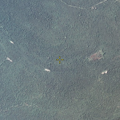 Aerial/Satellite Image of Big Spring, PA