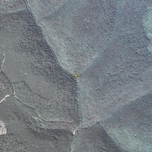 Aerial/Satellite Image of Big Spring Brook, PA