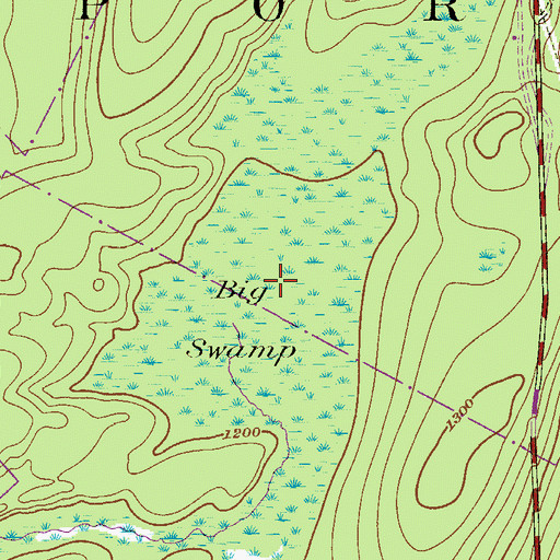 Topographic Map of Big Swamp, PA