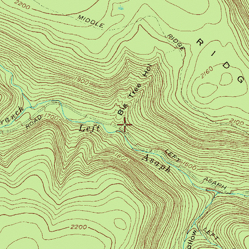 Topographic Map of Big Tree Hollow, PA