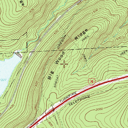 Topographic Map of Big Wood Ridge, PA