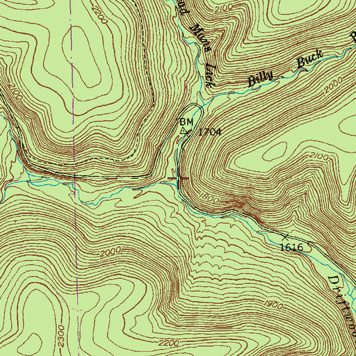Topographic Map of Billy Buck Run, PA