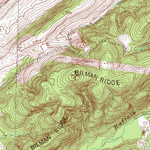 Topographic Map of Bilman Ridge, PA