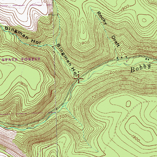 Topographic Map of Bingman Hollow, PA