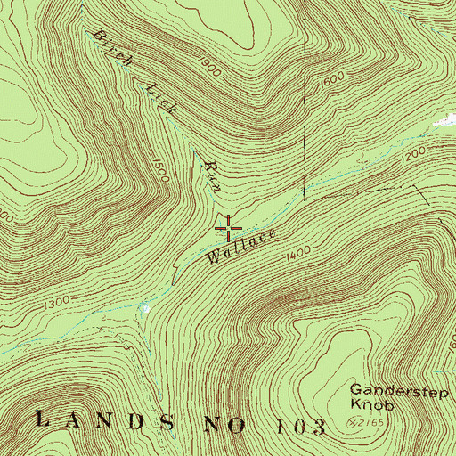 Topographic Map of Birch Lick Run, PA
