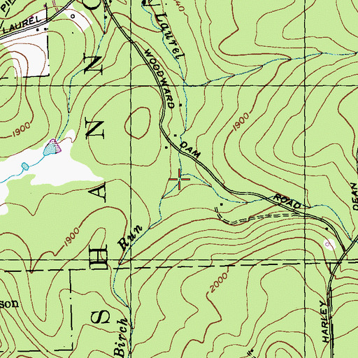 Topographic Map of Birch Run, PA