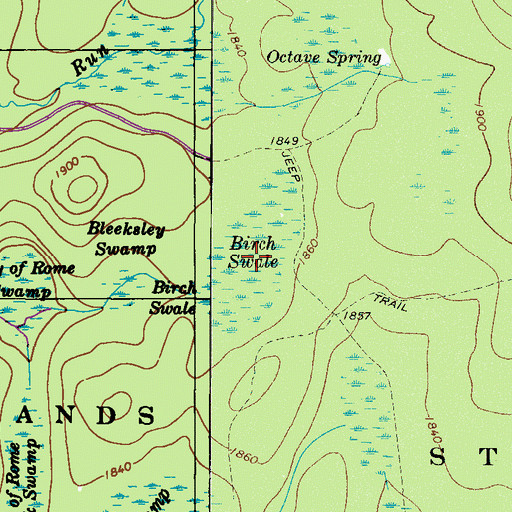 Topographic Map of Birch Swale, PA