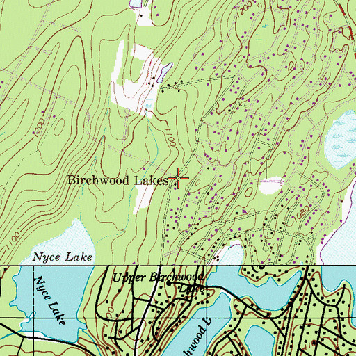 Topographic Map of Birchwood Lakes, PA