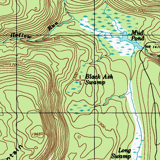 Topographic Map of Black Ash Swamp, PA
