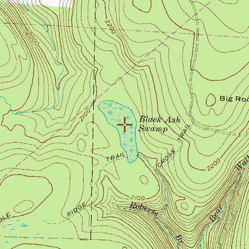 Topographic Map of Black Ash Swamp, PA