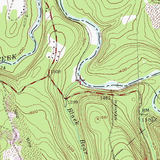 Topographic Map of Black Bear Run, PA