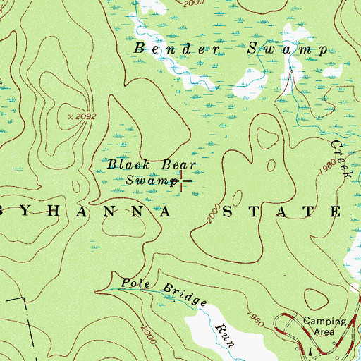 Topographic Map of Black Bear Swamp, PA