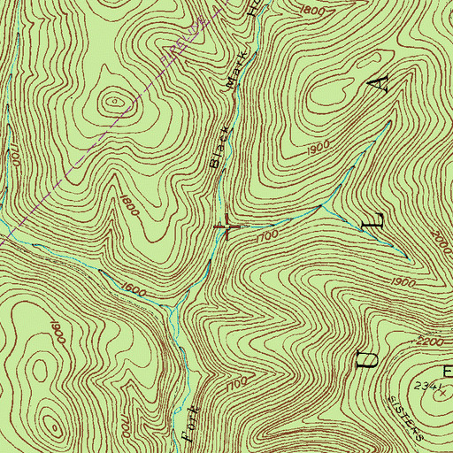 Topographic Map of Black Mark Hollow, PA