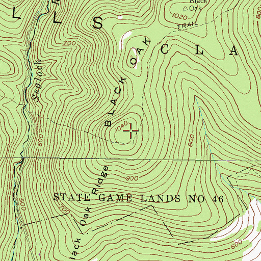 Topographic Map of Black Oak Ridge, PA