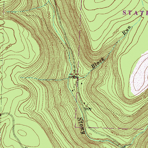 Topographic Map of Black Run, PA