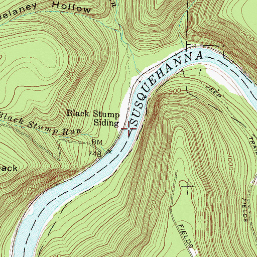 Topographic Map of Black Stump Siding, PA