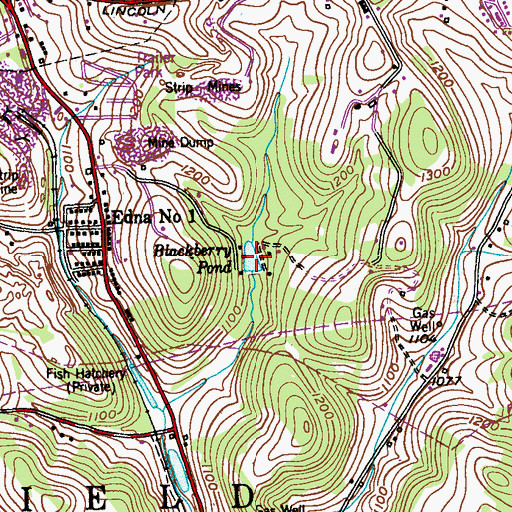 Topographic Map of Blackberry Pond, PA
