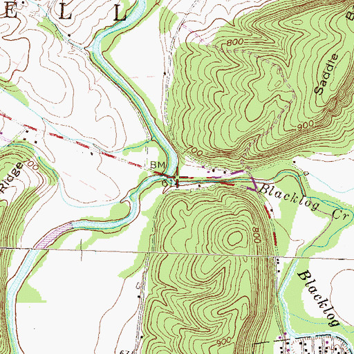 Topographic Map of Blacklog Creek, PA