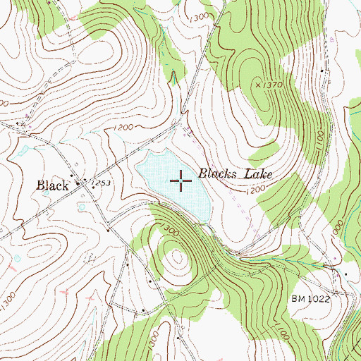 Topographic Map of Blacks Lake, PA